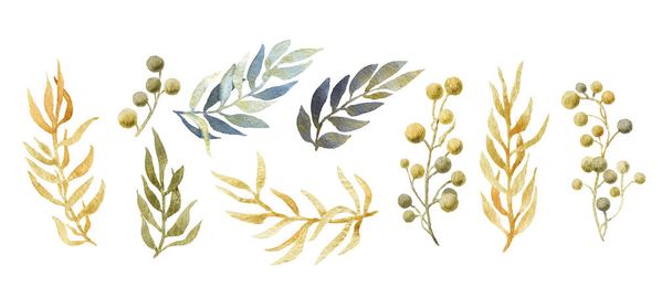 Szett arany levelű és bogyók kézzel rajzolt akvarell elszigetelt fehér background. Design elemek, minták, wreathes és virágos stílus-keretek. - Fotó, kép