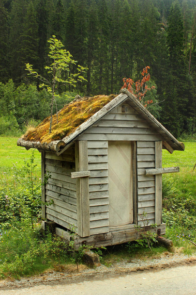 Moss and trees grow on roof of small wooden storage house. Traditional norwegian architectural style. - Photo, Image