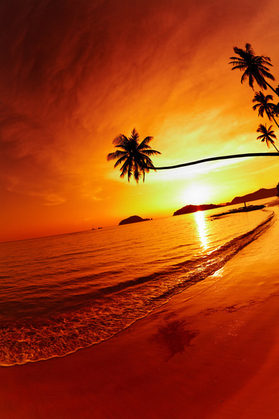 Plage tropicale au coucher du soleil - Photo, image