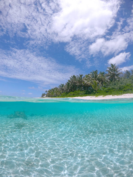 半水中: 太平洋のリモートの熱帯の島で人気の白い砂のビーチが空のままガラスの海の水と緑豊かなヤシの木の景色にもかかわらず観光ローシーズン中. - 写真・画像