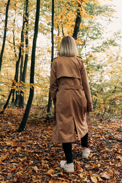 Back view of woman walking in autumn forest  - 写真・画像