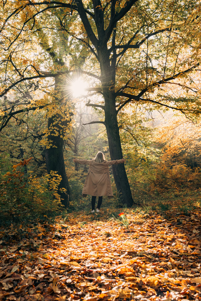 Back view of woman standing with spread hands in autumn forest  - Fotoğraf, Görsel