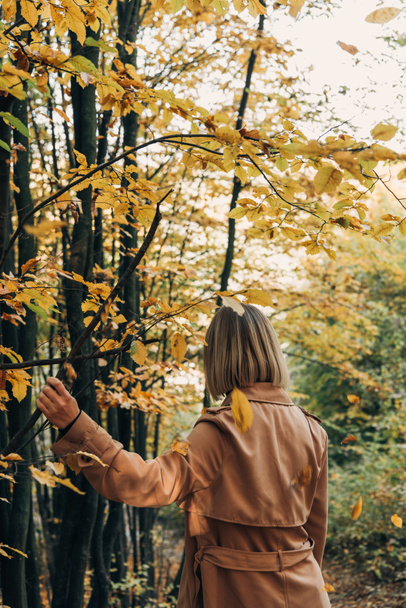 Back view of woman walking in autumn forest and touching tree branch  - Photo, Image