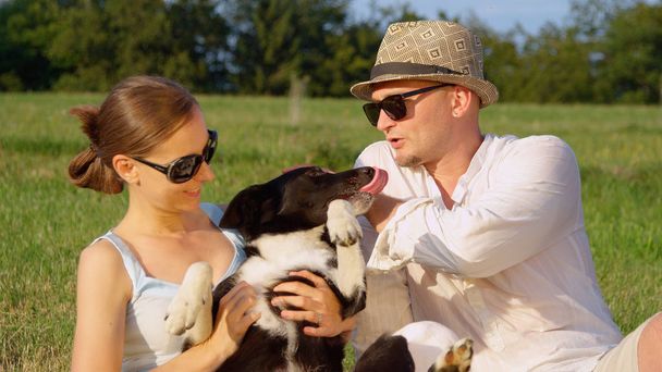 CLOSE UP: Cheerful black and white puppy is petted by its smiling young owners on a hot summer day in the grassy field. Adorable shot of couple showing their love for their playful border collie. - Photo, Image