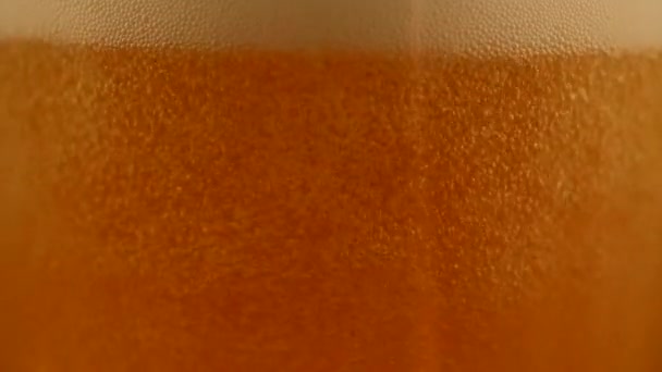 Detalle de burbujas de cerveza de cerca
 - Metraje, vídeo