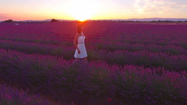 Εναέρια: Ευτυχισμένος νεαρή γυναίκα στην λευκή φόρεμα μειονεκτημα αναισθητοποίηση Λεβάντα σειρές στο χρυσό καλοκαίρι ηλιοβασίλεμα. Χαμογελαστό κορίτσι χρυσό καλοκαίρι βράδυ στο μωβ Λεβάντα πεδία. Ανατολή ηλίου στην Προβηγκία, Γαλλία - Φωτογραφία, εικόνα