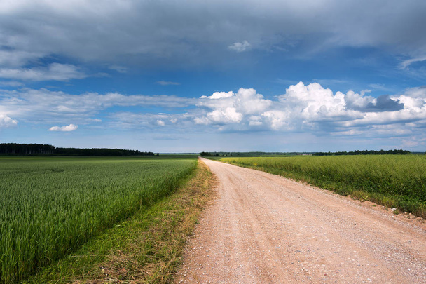 Rural road in countryside, Latvia. - Foto, Bild