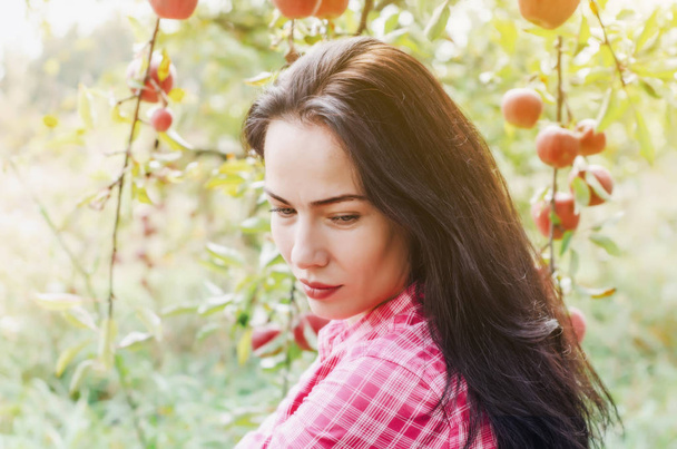 νεαρή γυναίκα σε ένα καρό πουκάμισο ροζ κάθεται σε ένα παλιό μήλο οπωρώνα κάτω από ένα δέντρο με μεγάλα κόκκινα μήλα. Συγκομιδή. Υγιεινά τρόφιμα. Φθινοπωρινή διάθεση. - Φωτογραφία, εικόνα