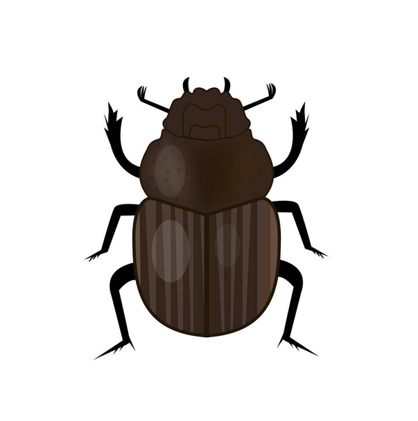 Scarab beetle insect icon, flat style. Symbol of ancient Egypt. Isolated on white background. Vector illustration - Vector, Image