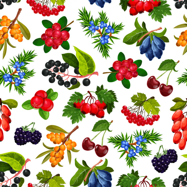 Безшовний візерунок реалістичні літні ягоди ізольовані
 - Вектор, зображення