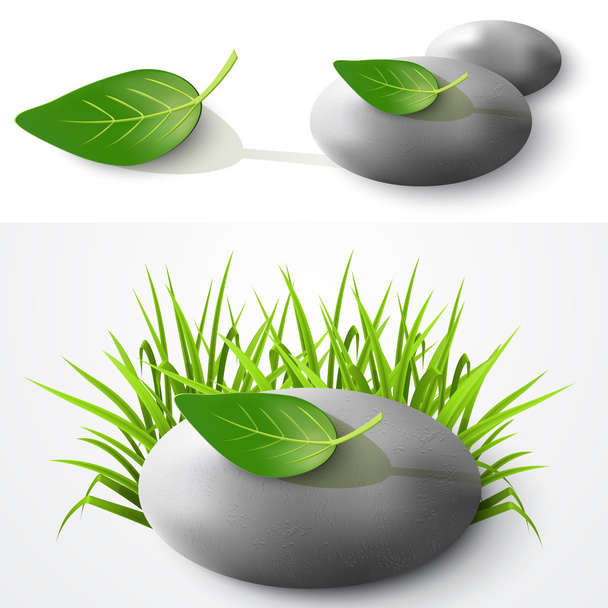 Stone and leaf. Vector illustration - Vector, Image