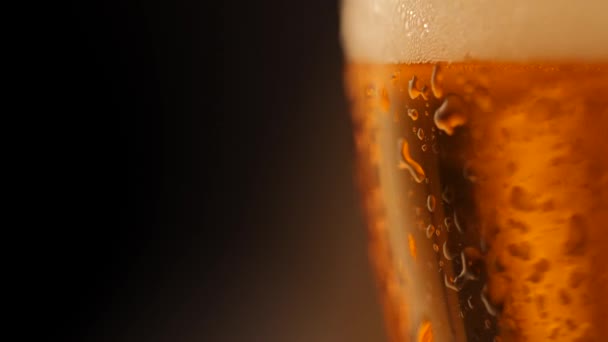 Detalle de chupito de cerveza fresca giratoria con fondo oscuro y gotas sobre vidrio
 - Metraje, vídeo