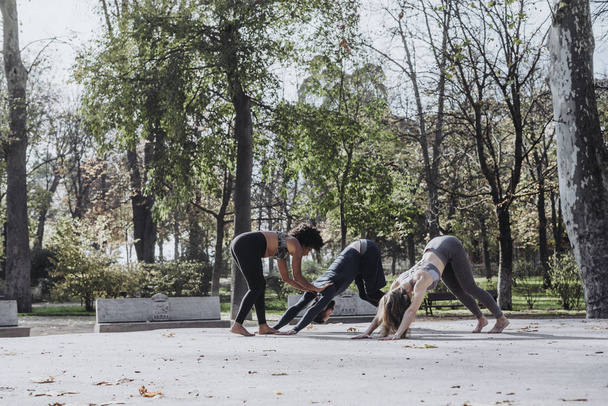 Groupe de personnes qui pratiquent le yoga dans le parc
 - Photo, image