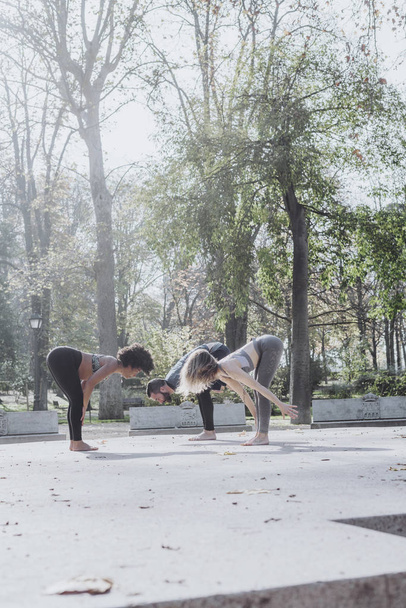 Grupo de personas que practican yoga en el parque
 - Foto, imagen