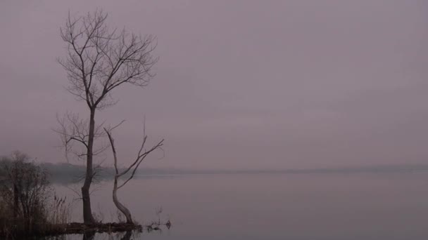 Starke winterliche Uferlandschaft - Filmmaterial, Video