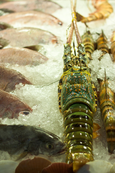 biurko z ryby i owoce morza ryba zapas - Zdjęcie, obraz