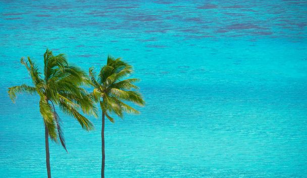 Magas pálmafák flutter a nyári szellő fúj a smaragd egzotikus tengernél paradise island beach közelében. Szép lövés a két tenyér és a végtelen türkiz óceán víz a Maldív-szigeteken. - Fotó, kép