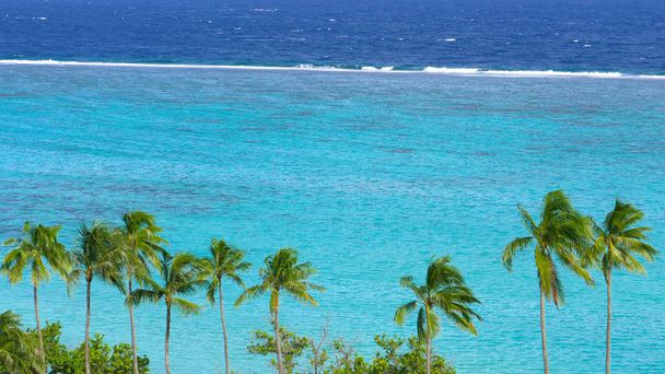 Pequeñas olas de espuma del océano rodan hacia la hermosa playa con palmeras altas. Impresionante vista del océano turquesa cerca de una isla tropical en el Pacífico. Brisa de verano soplando en las Maldivas
. - Foto, imagen
