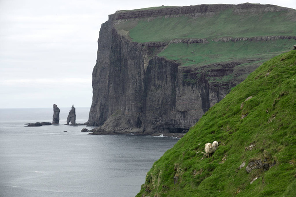 AERIAL: Flying kohti kahta lammasta seisoo jyrkällä ruohoisella kukkulalla viehättävällä rannikon maaseudulla Färsaarten. Siisti laukaus kalliosta ja merestä laidunmaan takana, jossa lampaat laiduntavat.
. - Valokuva, kuva