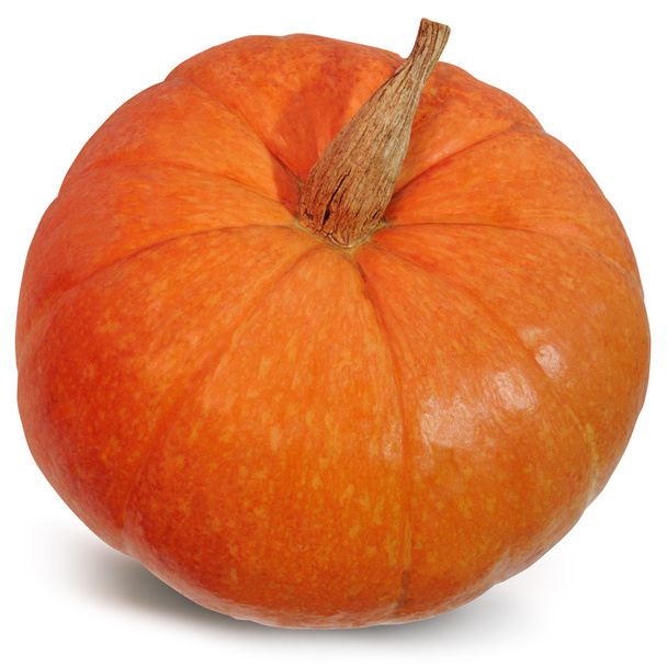 Nagy pumpkin fehér alapon - Fotó, kép