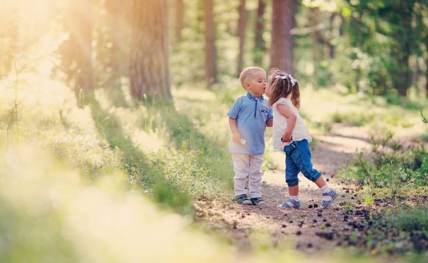 Boy and boy kissing in the forest in summer - Фото, изображение