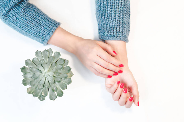 Perfect groomed womans hands with red nail varnish. - 写真・画像