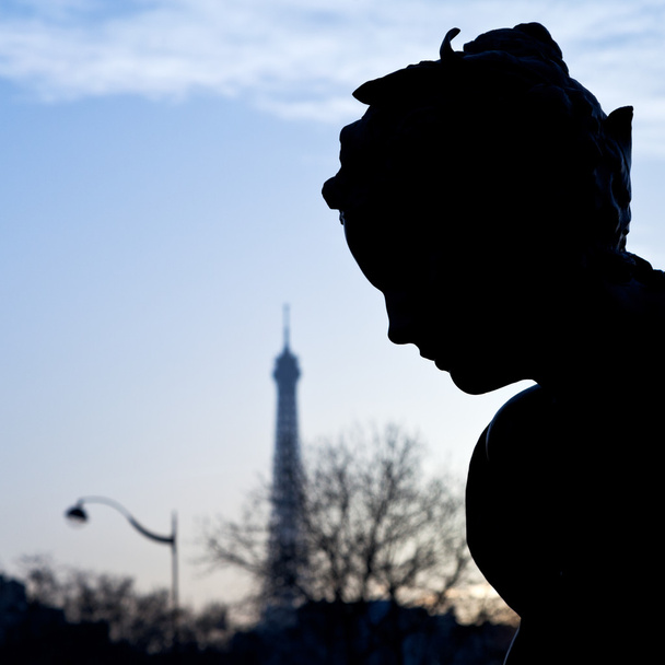 socha pont alexandre iii a Eiffelova věž v Paříži - Fotografie, Obrázek
