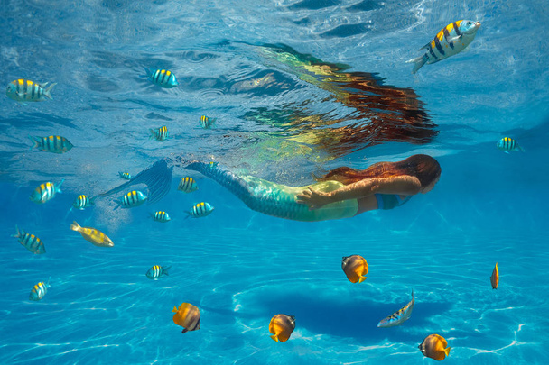 Underwater shoot of swimming mermaid with fishes - Foto, Imagen