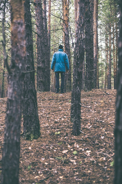 Sonbahar zaman içinde bir çam ormanı içinde yalnız bir adam. - Fotoğraf, Görsel