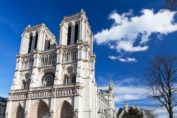 Notre Dame w Paryżu - Zdjęcie, obraz