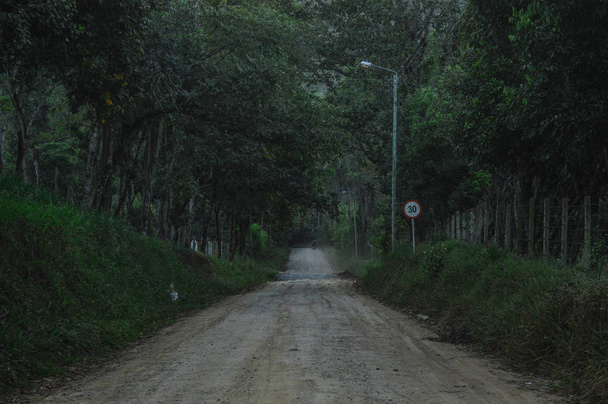 camino de tierra en el bosque - Foto, Imagem