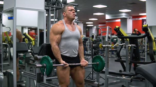 Hombre entrena bíceps con una barra en el gimnasio
 - Metraje, vídeo