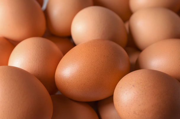 Raw chicken eggs, closeup - Foto, immagini
