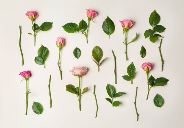 Flat lay composition with beautiful pink roses and leaves on white background - Foto, imagen