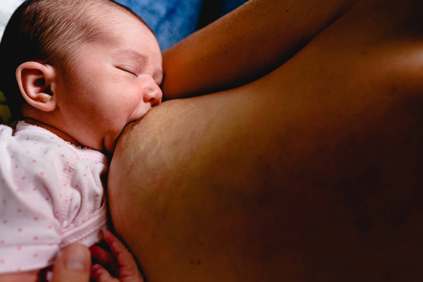 Yeni doğan bebek emzirme, annesinin onu emzirme üzerinden - Fotoğraf, Görsel