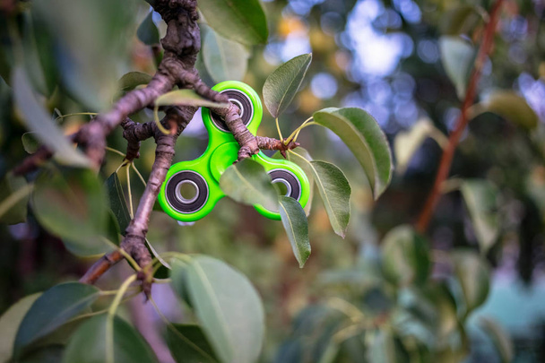 Grüner Fidget Spinner hängt an einem Birnbaum. - Foto, Bild