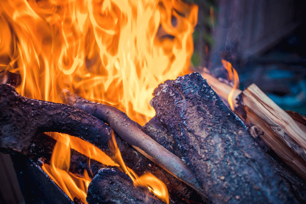 Drewno opałowe pali się w grillu. - Zdjęcie, obraz