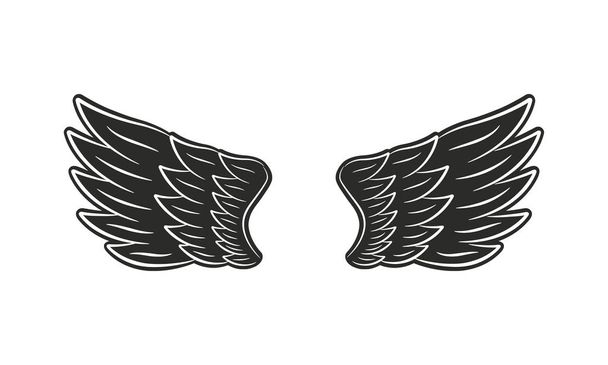 векторная иллюстрация цветных крыльев на белом фоне
 - Вектор,изображение