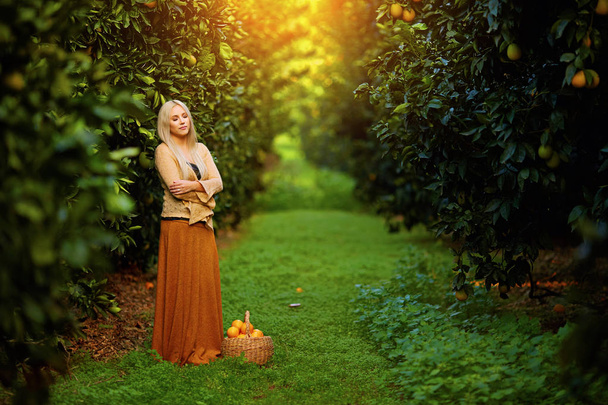 Beautiful woman with basket of fruit in orchard - Foto, imagen