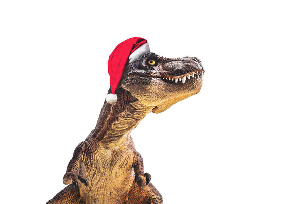 dinosaure, T-rex avec chapeau de Noël, Tyrannosaure sur fond blanc
 - Photo, image