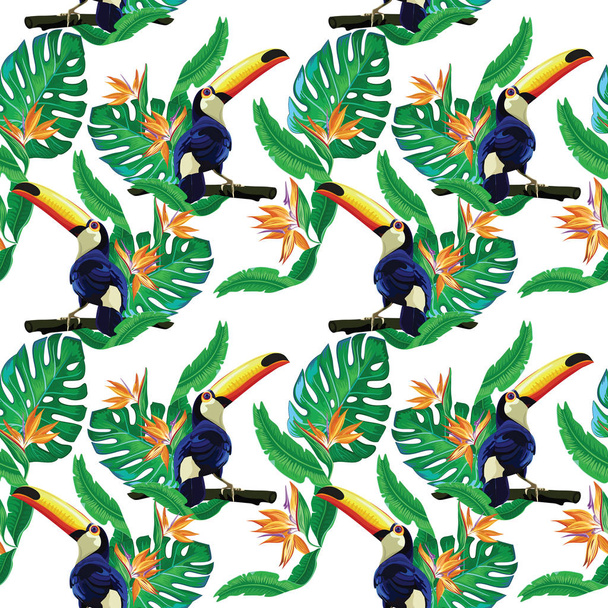 Toucan birds, tropics nature pattern, vector illustration - Vector, Image