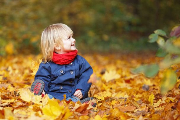 幸せな秋!秋の公園で遊んで少し甘い女の子を残します。コピー スペース、落ち葉. - 写真・画像