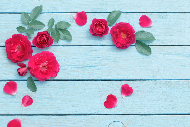 Beautiful roses on blue old wooden background - Фото, изображение