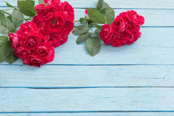 Hermosas rosas sobre fondo azul de madera vieja
 - Foto, imagen