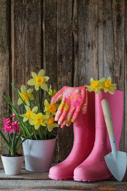 rubber boots and spring flowers on wooden background - Foto, immagini