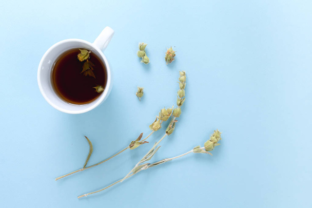 Чашка свежеваренного горного чая с сушеными ветвями растений на синем фоне
. - Фото, изображение