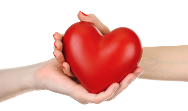 Red heart in woman and man hands, isolated on white - Foto, afbeelding