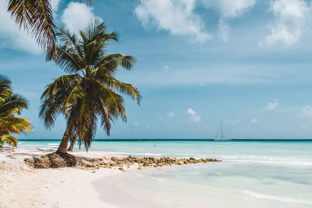 Kuva Baijerin rannoista Punta Canassa, Dominikaaninen tasavalta
 - Valokuva, kuva