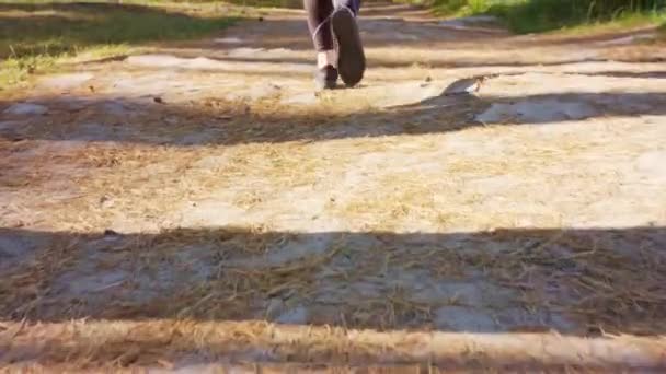 Nuoret naiset jalat juoksevat metsässä
 - Materiaali, video