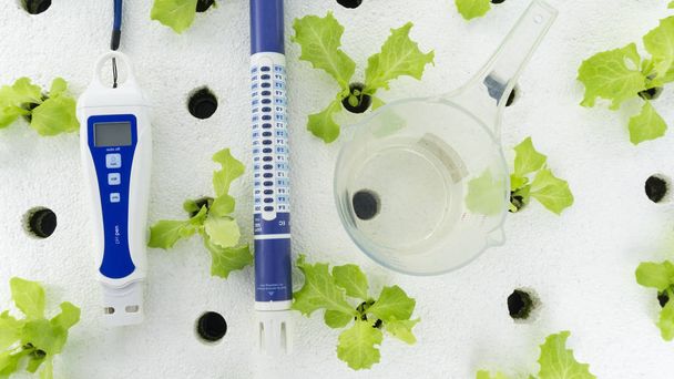 Digital pH meter tester and cup measure on white foam. vegetables salad in greenhouse hydroponics garden, Close up - Photo, Image